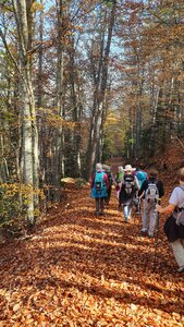2019 10 29 Bois des Communs, 20191029_114801