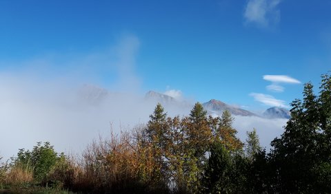2019 10 29 Bois des Communs Monique, 001
