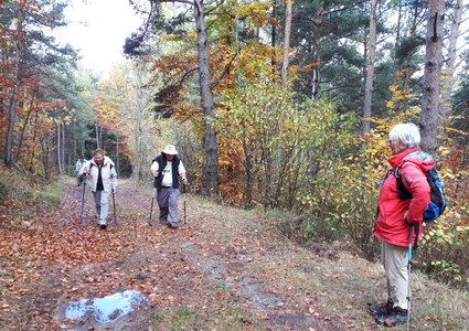 2019 10 29 Bois des Communs Monique, 002