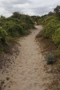 2019_0906 sentier côtier de Bray-Dunes à Etaples, IMG_0686 la dune marchand_z