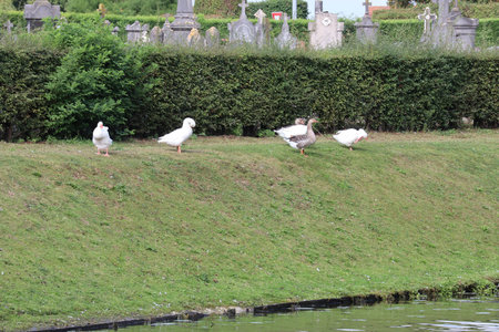2019_0906 sentier côtier de Bray-Dunes à Etaples, IMG_0719 bergues_z