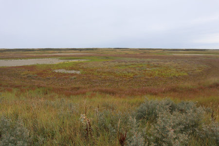 2019_0906 sentier côtier de Bray-Dunes à Etaples, IMG_0830 grand fort philippe_z