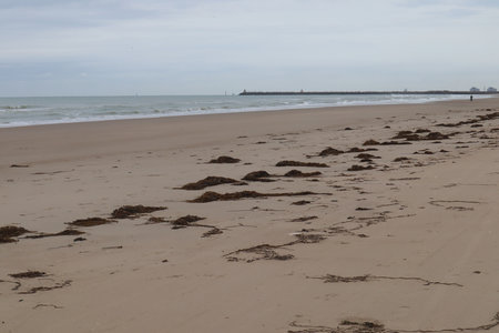 2019_0906 sentier côtier de Bray-Dunes à Etaples, IMG_0831 plage du platier d oye et digue de l’Aa_z