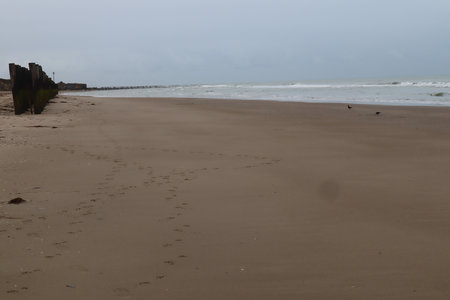 2019_0906 sentier côtier de Bray-Dunes à Etaples, IMG_0832 plage du platier d oye_z