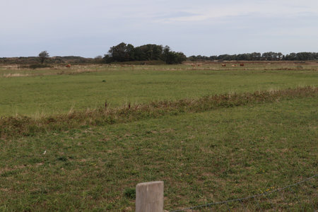 2019_0906 sentier côtier de Bray-Dunes à Etaples, IMG_0835 platier d oye_z