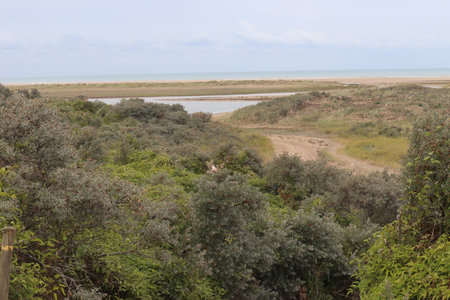 2019_0906 sentier côtier de Bray-Dunes à Etaples, IMG_0836 platier d oye_z