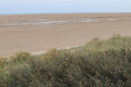 2019_0906 sentier côtier de Bray-Dunes à Etaples, IMG_0837 oye-plage_z