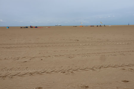 2019_0906 sentier côtier de Bray-Dunes à Etaples, IMG_0838 hemmes de marck_z