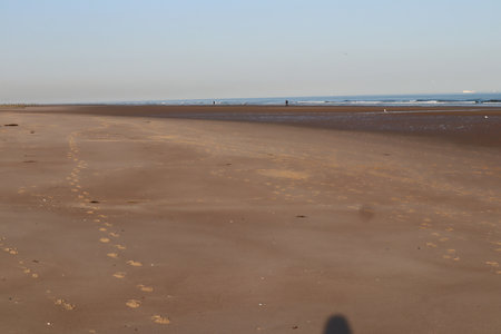 2019_0906 sentier côtier de Bray-Dunes à Etaples, IMG_0869 calais_z