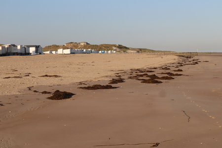 2019_0906 sentier côtier de Bray-Dunes à Etaples, IMG_0870 calais_z