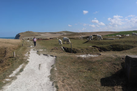 2019_0906 sentier côtier de Bray-Dunes à Etaples, IMG_0889 petit blanc nez_z