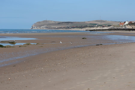2019_0906 sentier côtier de Bray-Dunes à Etaples, IMG_0894 plage de wissant et cap blanc nez_z