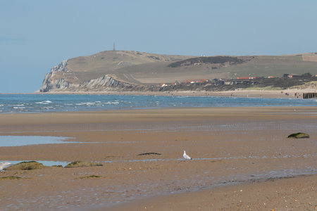 2019_0906 sentier côtier de Bray-Dunes à Etaples, IMG_0895 plage de wissant et cap blanc nez_z