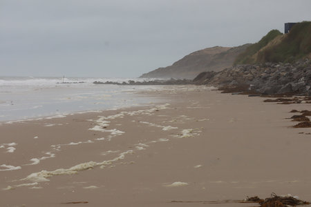 2019_0906 sentier côtier de Bray-Dunes à Etaples, IMG_1002 equihen plage_z