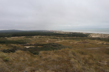 2019_0906 sentier côtier de Bray-Dunes à Etaples, IMG_1006 le sentier des dunes_z