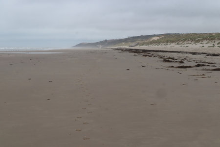 2019_0906 sentier côtier de Bray-Dunes à Etaples, IMG_1007 hardelot plage_z