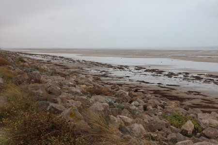 2019_0906 sentier côtier de Bray-Dunes à Etaples, IMG_1009 hardelot_z