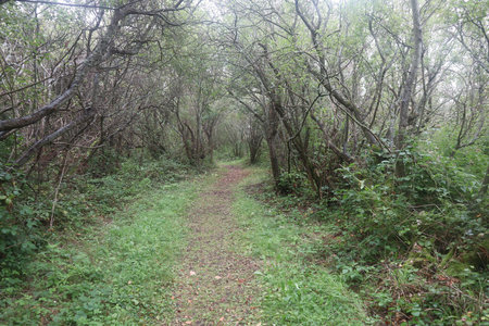 2019_0906 sentier côtier de Bray-Dunes à Etaples, IMG_1014 dune du mont st frieux_z