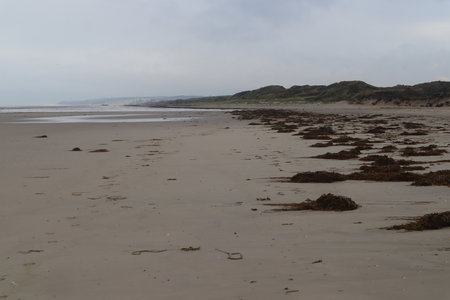 2019_0906 sentier côtier de Bray-Dunes à Etaples, IMG_1015 ste cecile_z