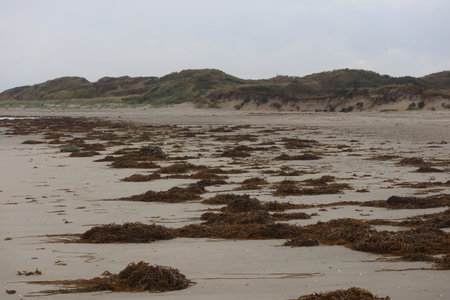 2019_0906 sentier côtier de Bray-Dunes à Etaples, IMG_1017 ste cecile_z