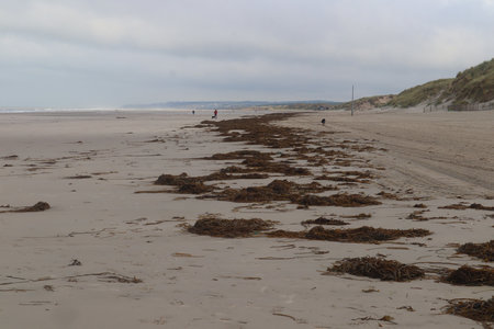 2019_0906 sentier côtier de Bray-Dunes à Etaples, IMG_1023 ste cecile_z