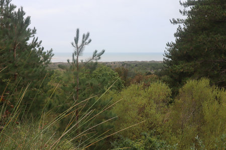 2019_0906 sentier côtier de Bray-Dunes à Etaples, IMG_1024 baie de canche vue depuis les garennes_z