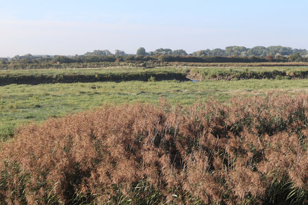 2019_0906 sentier côtier de Bray-Dunes à Etaples, IMG_1052 estuaire de la canche_z