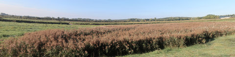 2019_0906 sentier côtier de Bray-Dunes à Etaples, IMG_1053 - IMG_1061 estuaire de la canche_z