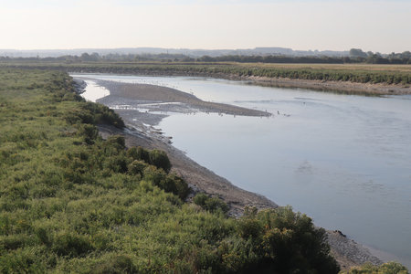 2019_0906 sentier côtier de Bray-Dunes à Etaples, IMG_1062 la canche_z