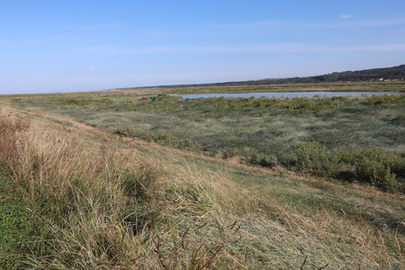 2019_0906 sentier côtier de Bray-Dunes à Etaples, IMG_1063 baie de la canche_z