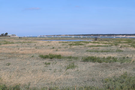 2019_0906 sentier côtier de Bray-Dunes à Etaples, IMG_1080 estuaire de la canche_z