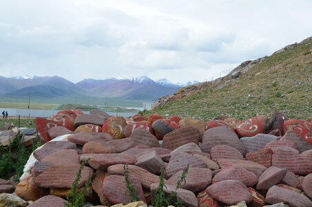 Tibet 2019 , J13_GDU_1206