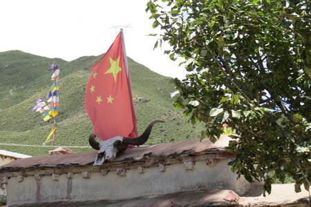 Tibet 2019 , J15_BJM_1761