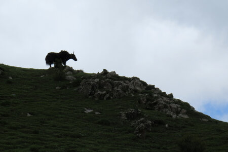 Tibet 2019 , J16_BJM_1837 