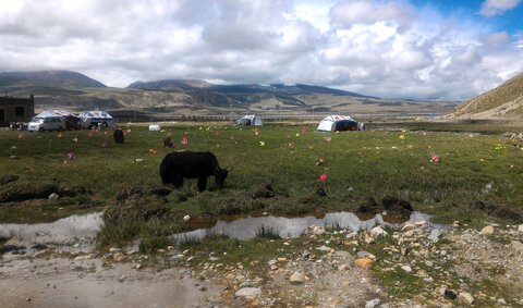 Tibet 2019 , J13_MCC_155745