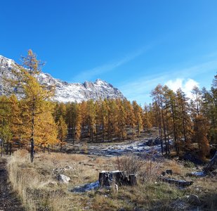2019 11 12 Le Peyre de l Aigle Monique, 004