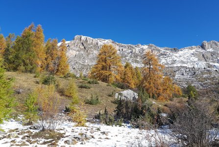 2019 11 12 Le Peyre de l Aigle Monique, 006