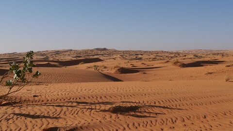 Mauritanie 2019, P1022243