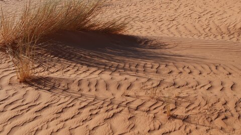 Mauritanie 2019, P1022244