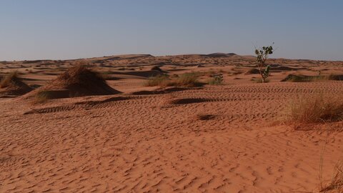 Mauritanie 2019, P1022245