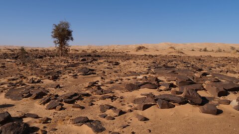 Mauritanie 2019, P1022251