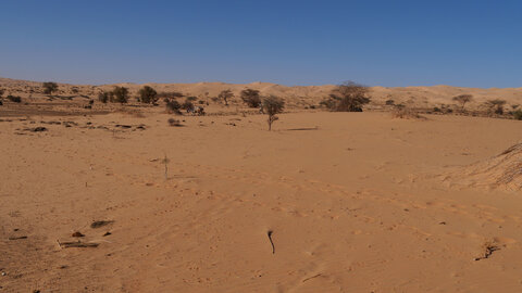 Mauritanie 2019, P1022255