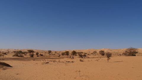Mauritanie 2019, P1022256