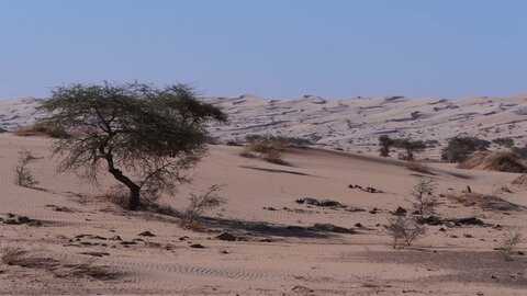 Mauritanie 2019, P1022257