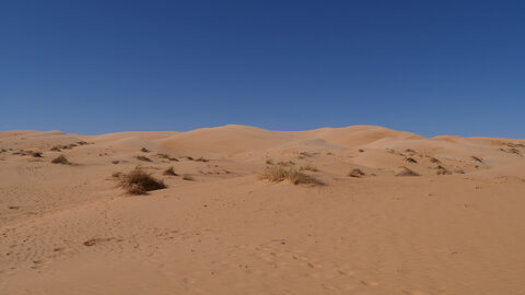 Mauritanie 2019, P1022258