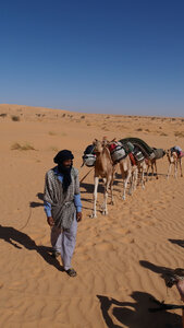 Mauritanie 2019, P1022259