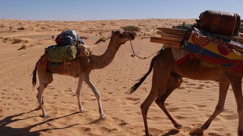 Mauritanie 2019, P1022263