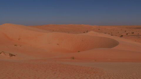 Mauritanie 2019, P1022267