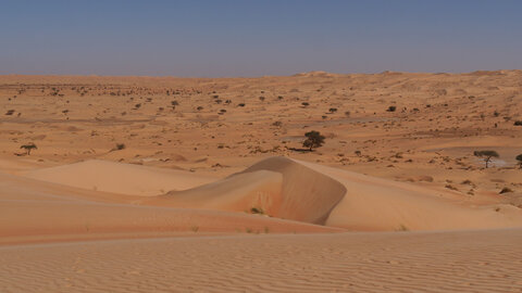 Mauritanie 2019, P1022268