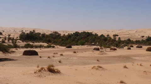 Mauritanie 2019, P1022269